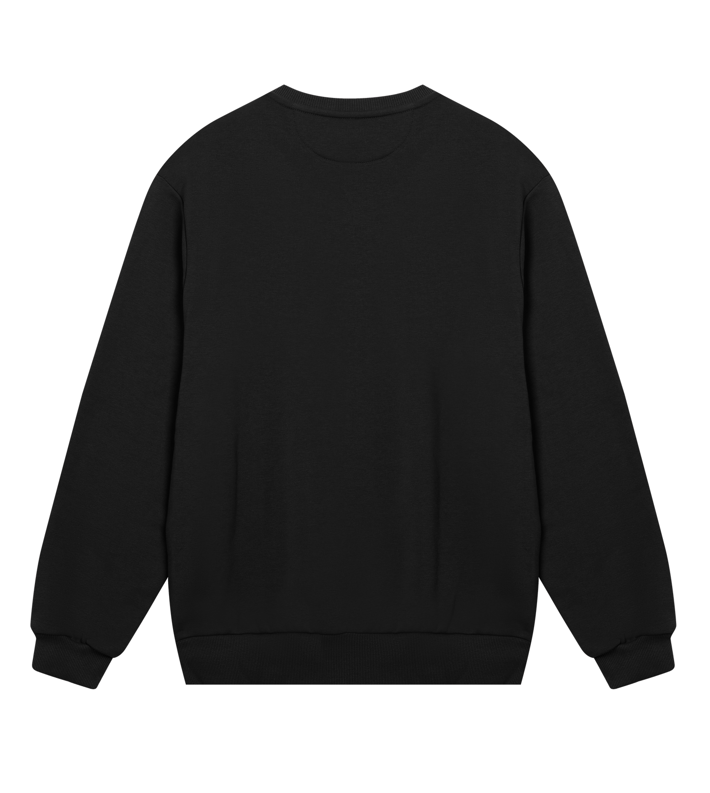 Sweatshirt Djurö Herr